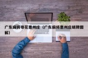 广东麻将带花惠州庄（广东麻将惠州庄胡牌图解）