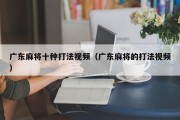 广东麻将十种打法视频（广东麻将的打法视频）