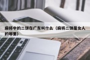 麻将中的二饼在广东叫什么（麻将二饼是女人的哪里）