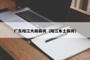 广东阳江大胡麻将（阳江本土麻将）