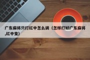 广东麻将只打红中怎么调（怎样打好广东麻将,红中变）
