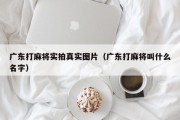 广东打麻将实拍真实图片（广东打麻将叫什么名字）