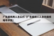 广东麻将两人怎么打（广东麻将二人合伙麻将暗号手势）