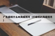广东麻将什么叫海底捞月（打麻将的海底捞月）