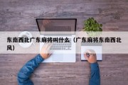 东南西北广东麻将叫什么（广东麻将东南西北风）
