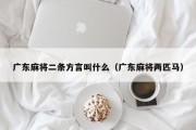 广东麻将二条方言叫什么（广东麻将两匹马）